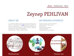 http://www-ia.lip6.fr/~pehlivanz/